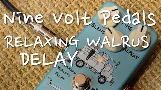 NineVolt - Relaxing Walrus Delay
