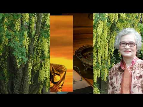 Võng đời phù vân - Hoàng Quân