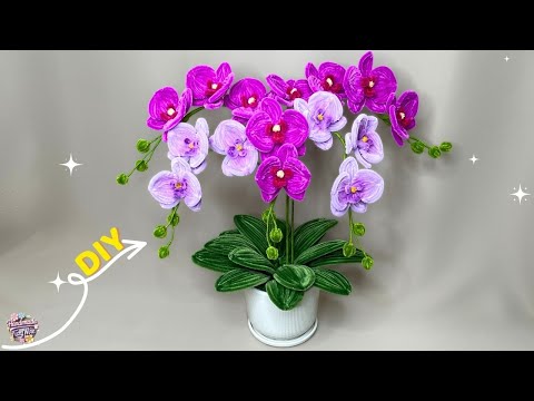 A pot of Phalaenopsis Orchids with Pipe Cleaner💥Try it, you will love it💥Tutorial
