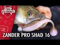 Zander Pro Shad 16 | New Bigger Size |Lure Fishing Shad | Zander and Pike Love This Lure!