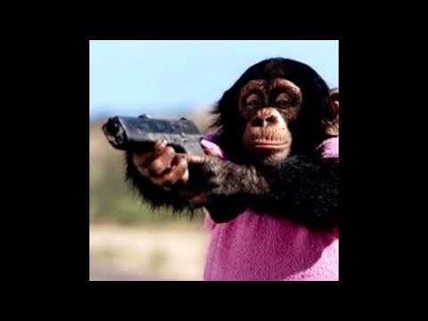 *FREE FOR PROFIT* BUSHIDO ZHO x OG BUDA x 163ONMYNECK Type Beat - 163