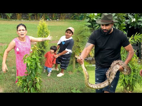 Farm House Mai Nikla Anaconda