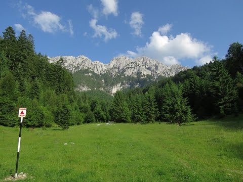 Creasta Prieteniei