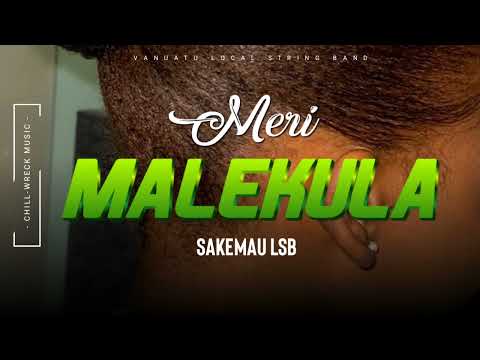 Meri Malekula - Sele LSB (Vanuatu Local String Band) 2024. 🇻🇺