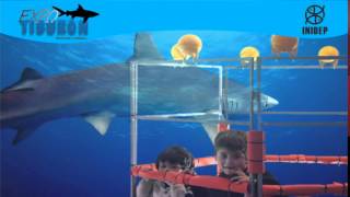 DIA 2 Expo Tiburon10