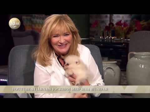 Best of i Malou Efter tio hösten 2016 - TV4