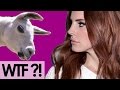 Llama Del Rey - MusicHacking 