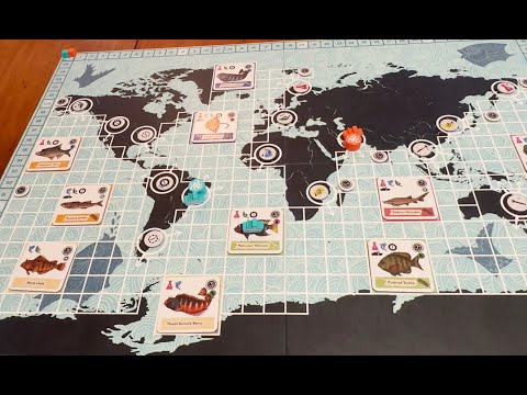 How to play Hidden Ark