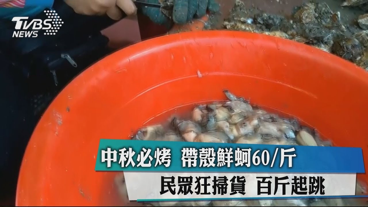 中秋必烤帶殼鮮蚵60／斤　民眾狂掃貨百斤起跳