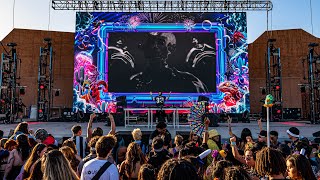 Foam Wonderland in Las Vegas (2026 Recap)