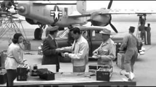 E.T. - Jungle by Night