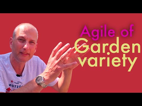 GROW you own....Agile - mix and match - align to the BUSINESS environment