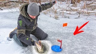 Рыбалка на жерлицы в камышах