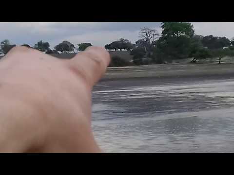 Mostrando como a seca nos atinge aqui na nossa cidade. Aporá - Litoral Norte da Bahia