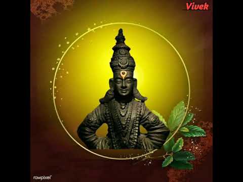 Dhaav Ghe Panduranga Shree Vitthal Bhaktigeet ||devaci gani|| विठ्ठलाची गाणी||देवाची गाणी \भक्तीगित