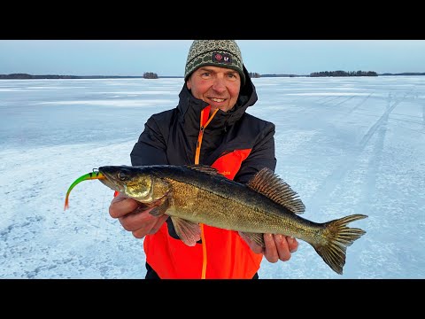 Hämärä yllätti kuhankalastajat - Kuhan pilkintää maaliskuussa