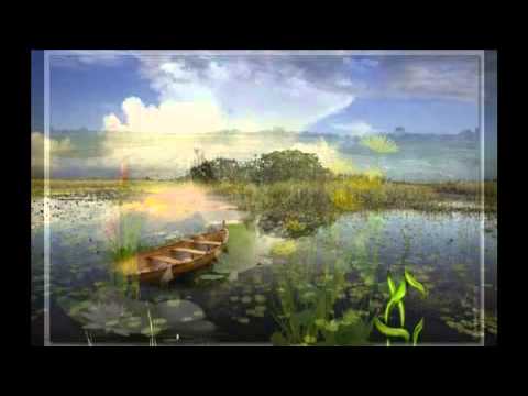 PLAUKS LAIVELIS Aliukai