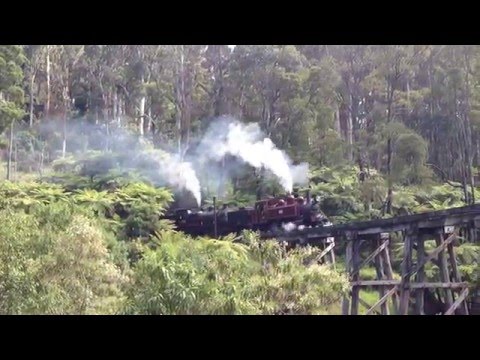 Puffing Billy Melbourne