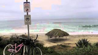 &quot;Rose Colored Eyes&quot; by Annual Jam 2001