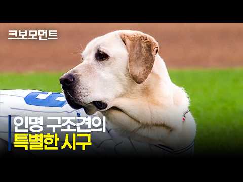 [KIA vs 삼성] 토백아~ 즐거운 시간 보내고 행복한 시간 보내야 한다~~ | 7.29 | 크보모먼트 | KBO 야구 하이라이트