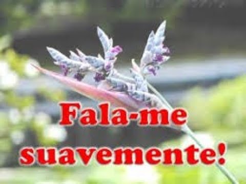 MEDO....deny sillva. guerreiro na musica