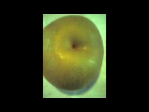 Tori Kudo - archive (film excerpt)