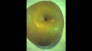 Tori Kudo - archive (film excerpt)