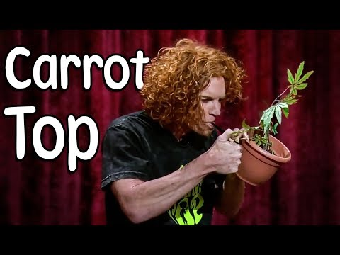 download lagu mp3 mp4 Carrot Top, download lagu Carrot Top gratis, unduh video klip Carrot Top