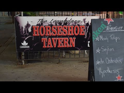 Seyton "Greyhound" - live at the Horseshoe Tavern in Toronto