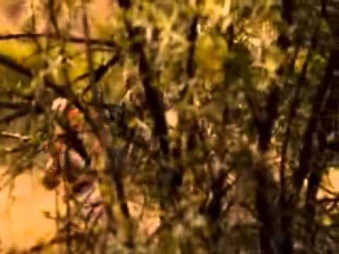 Strike Back s3 e4 Epic fight scene