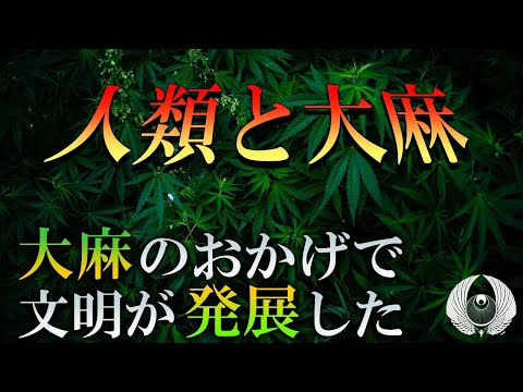 セイロンボウ麻 植物