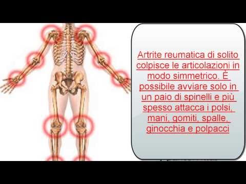 Il fegato può far male alle spalle Si accese una congiunta che è