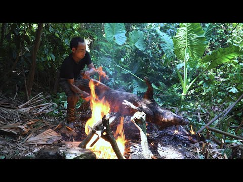 365 Days in 2 Hours: How I Survived - Hunting, Cooking, and Building in the Tropical Rainforest