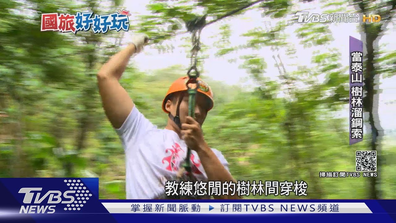 來當泰山！最夯新玩法　樹頂探險溜鋼索