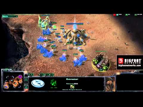 Bigfoot Networks Pro Tip: EG.IdrA vs. ROOT.KiWiKaKi