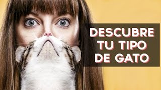Cual raza de gato eres? Descubre que tipo de gato eres con este divertido test! ↠↠ ¡No te olvides de suscribirte para no perderte ningún test!