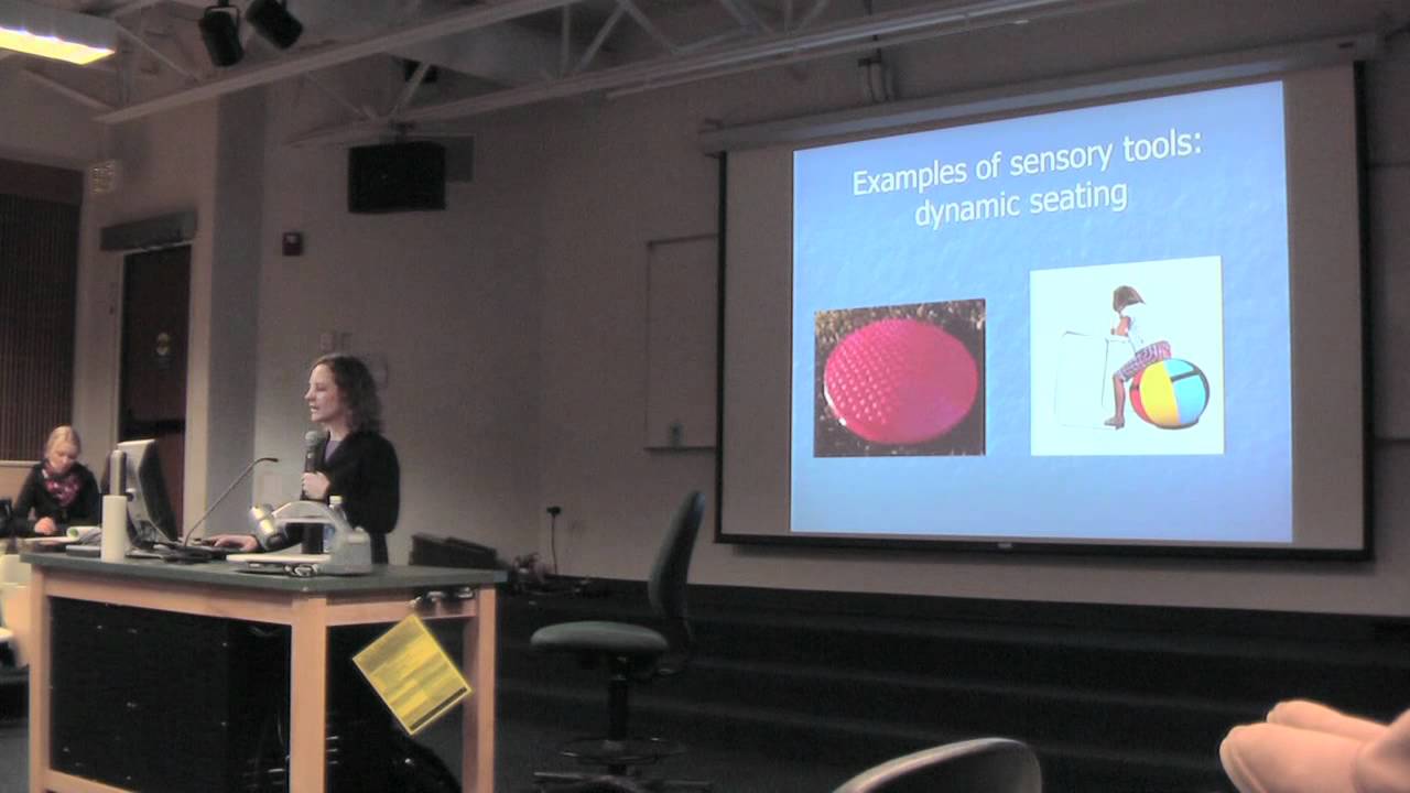 Perspectives on Challenging Child Behaviors: Understanding the Role of Sensory Processing