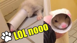 Miniature vidéo