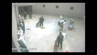 Louisiana Corrections Officers Assault Inmate with Dog, Face Federal Investigation