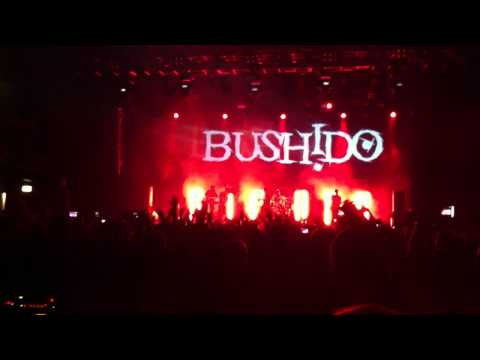 Bushido & Kay One - Cash, Money, Brothers (V2.010 TOUR) Live in Köln, E-Werk 08.05.2011 HD