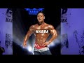 [김록호] 나바코리아 버뮤다모델 피지크 개인포즈 2019 9.1 NABBA WFF KOREA GRAND PRIX FINAL