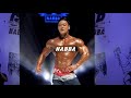 [김록호] 나바코리아 버뮤다모델 피지크 개인포즈 2019 9.1 NABBA WFF KOREA GRAND PRIX FINAL