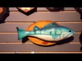 Frankie The Fish Singing Fish Re Uploaded
