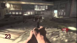 Black Ops: Ascension Zombie Bug