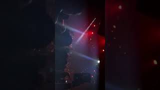 The Sounds of Animals Fighting - Act I: Chasing Suns