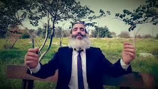 הרב יצחק פנגר - השפע הגדול - טו בשבט