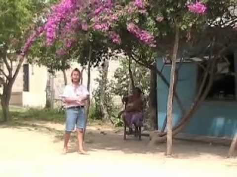 ME DAN CIEN POR EL MANDAO - PELLITO