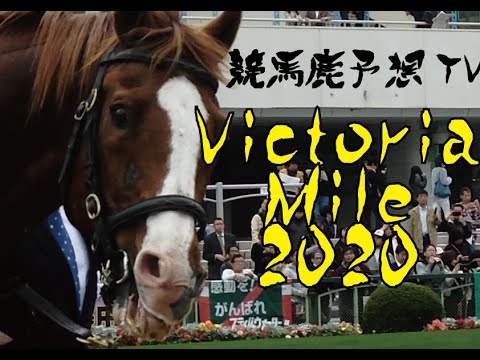 競馬鹿ビデオ :: 競馬鹿.tv | 競馬不毛の地・福井で一番アツい競馬サークル「チーム一期一会」