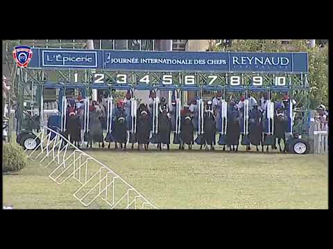 RM31 R3 | The Grey Crusader | D.De Gouveia