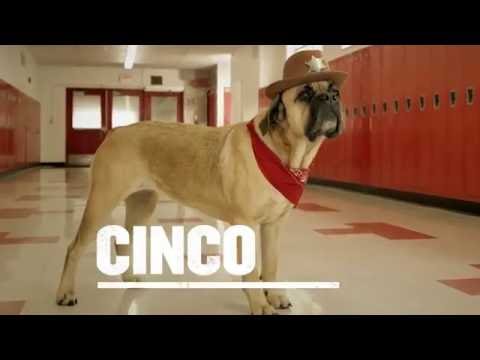 Cinco vs. Five Star® Locker Organization